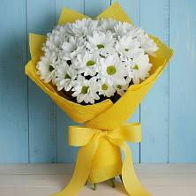 Букет цветов из:  Хризантемы в Гурьевске Калининградской области