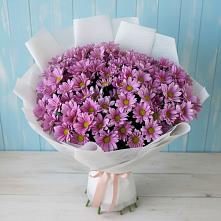 Букет цветов из:  Хризантемы в Гурьевске Калининградской области