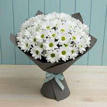 Букет цветов из:  Хризантемы в Гурьевске Калининградской области