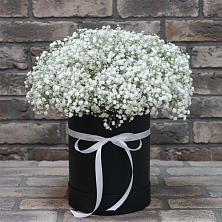 Цветочная композиция из Гипсофила в шляпной коробке в Гурьевске Калининградской области